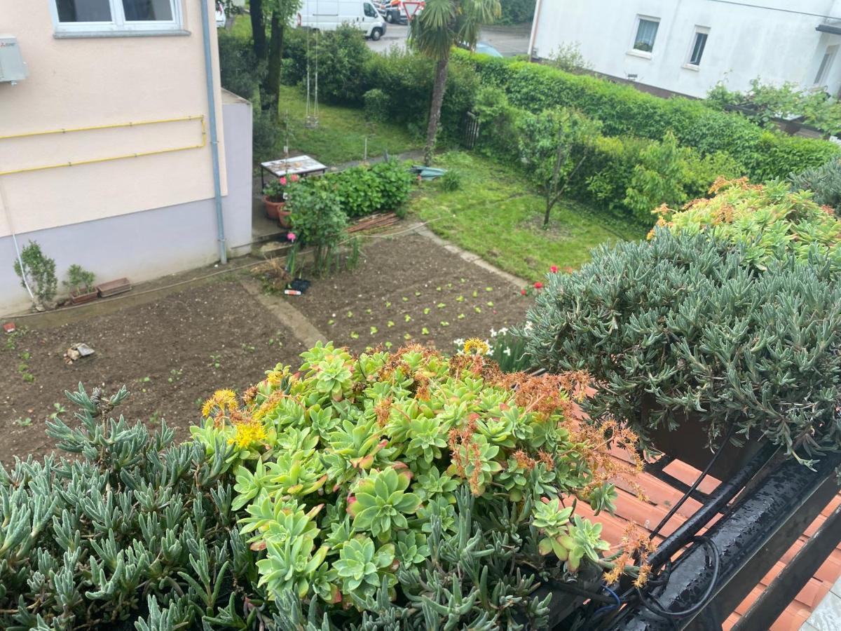 Apartma Magnolija Нова Гориця Екстер'єр фото
