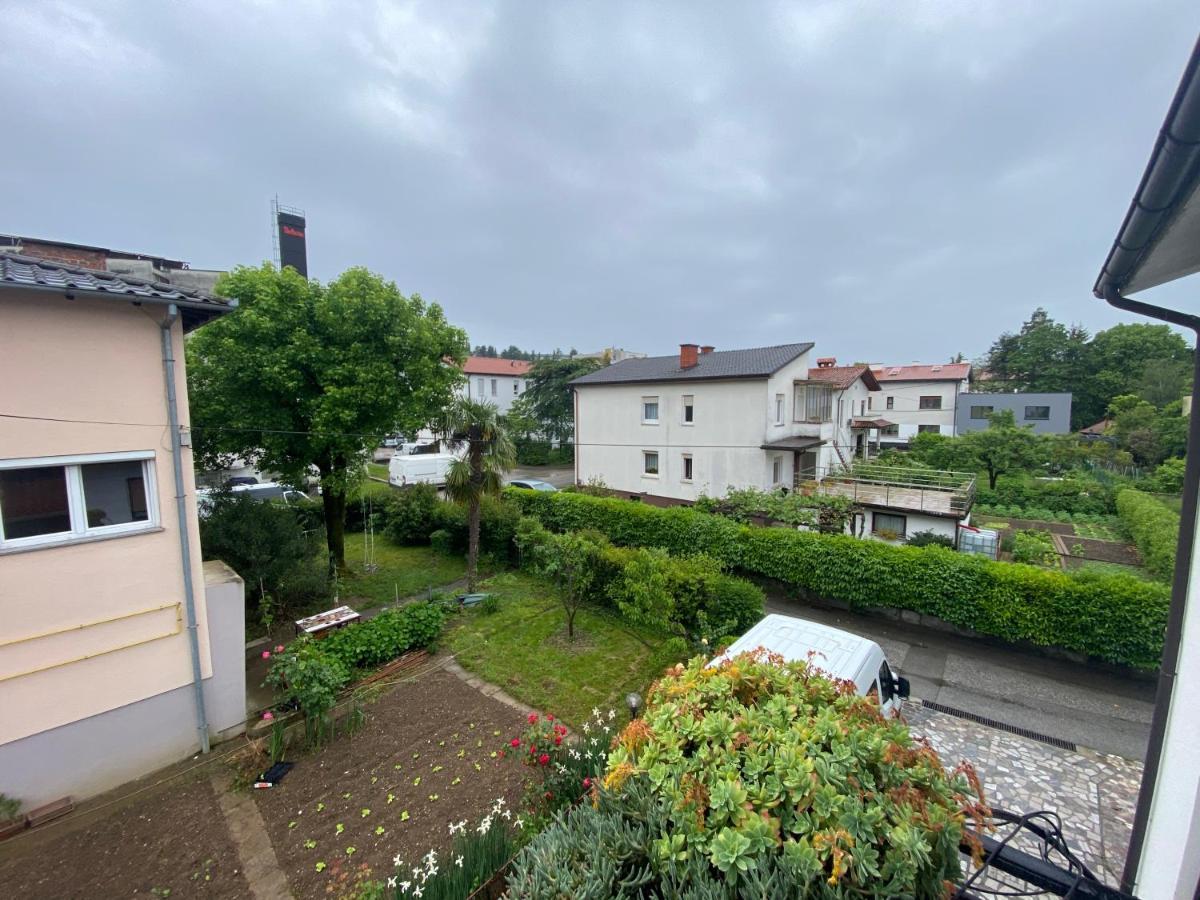 Apartma Magnolija Нова Гориця Екстер'єр фото